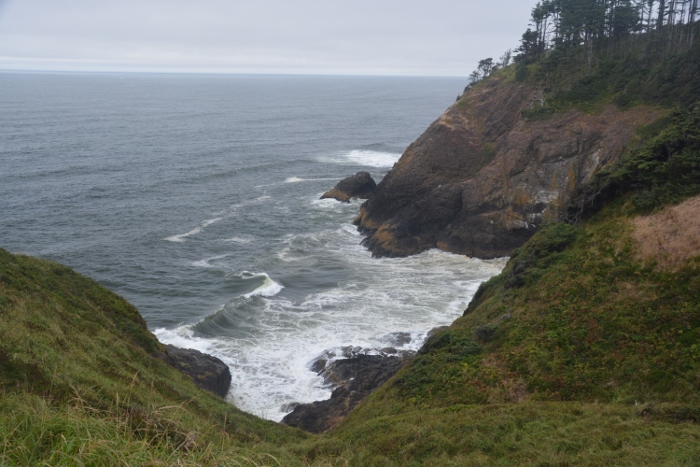 the ruggest coastline along Cape Disappointment
